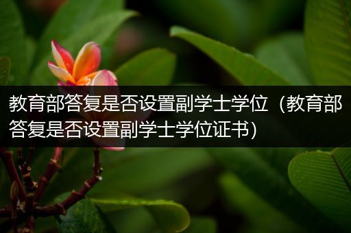 教育部答复是否设置副学士学位（教育部答复是否设置副学士学位证书）