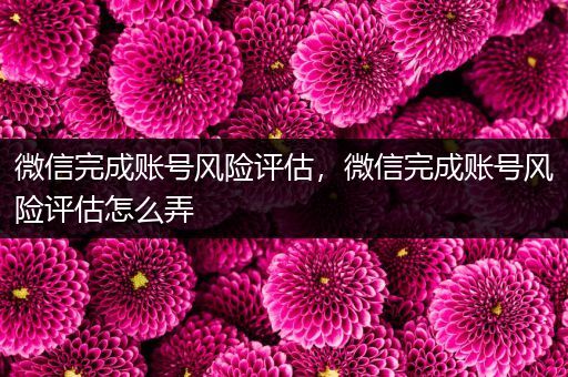 微信完成账号风险评估，微信完成账号风险评估怎么弄