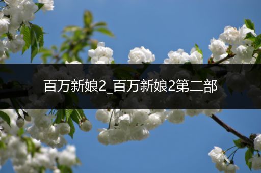 百万新娘2_百万新娘2第二部