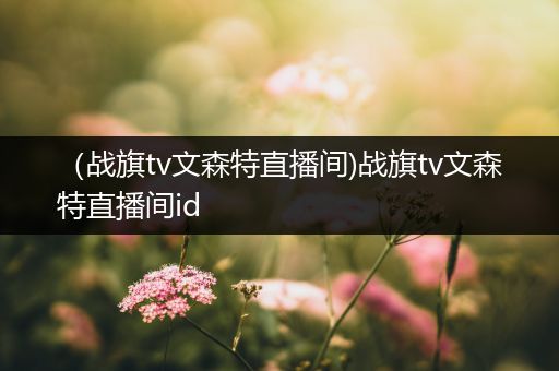 （战旗tv文森特直播间)战旗tv文森特直播间id