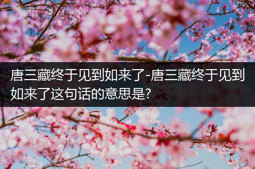 唐三藏终于见到如来了-唐三藏终于见到如来了这句话的意思是?