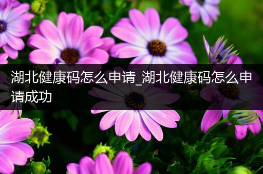 湖北健康码怎么申请_湖北健康码怎么申请成功
