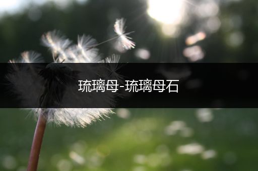 琉璃母-琉璃母石
