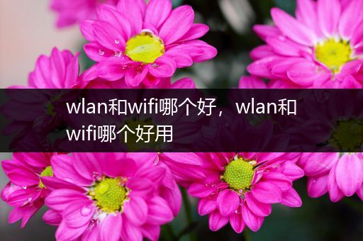 wlan和wifi哪个好，wlan和wifi哪个好用