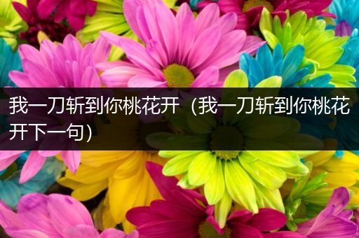 我一刀斩到你桃花开（我一刀斩到你桃花开下一句）
