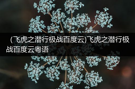 （飞虎之潜行极战百度云)飞虎之潜行极战百度云粤语