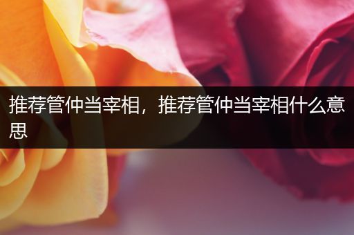 推荐管仲当宰相，推荐管仲当宰相什么意思