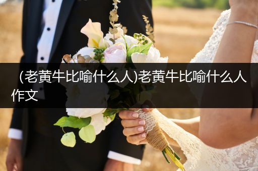（老黄牛比喻什么人)老黄牛比喻什么人作文