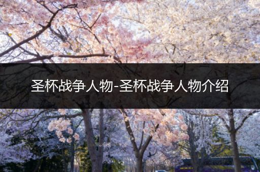 圣杯战争人物-圣杯战争人物介绍