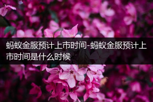 蚂蚁金服预计上市时间-蚂蚁金服预计上市时间是什么时候