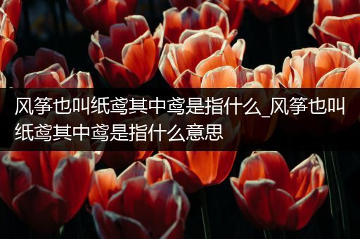 风筝也叫纸鸢其中鸢是指什么_风筝也叫纸鸢其中鸢是指什么意思