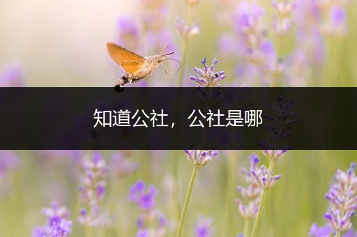 知道公社，公社是哪