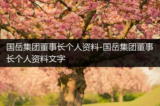 国岳集团董事长个人资料-国岳集团董事长个人资料文字