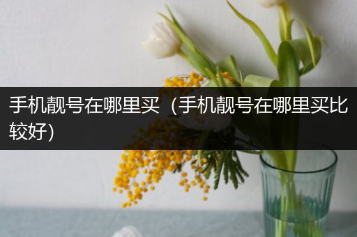 手机靓号在哪里买（手机靓号在哪里买比较好）
