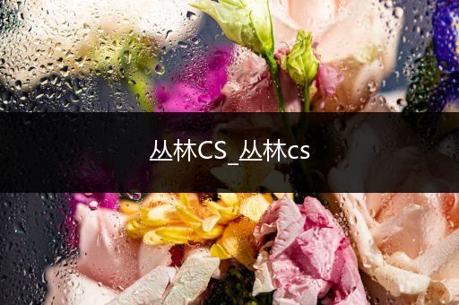 丛林CS_丛林cs-比翼知识网