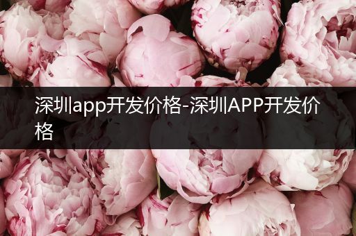 深圳app开发价格-深圳APP开发价格