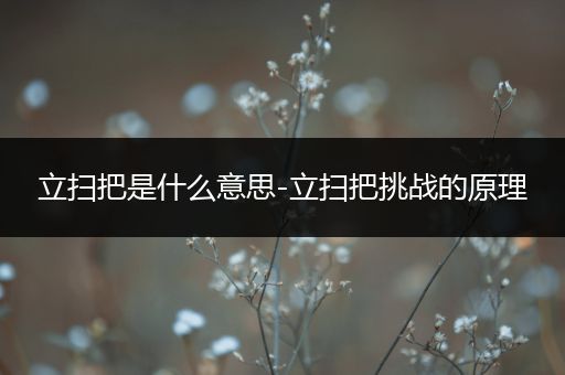 立扫把是什么意思-立扫把挑战的原理