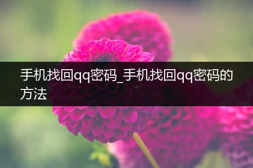 手机找回qq密码_手机找回qq密码的方法