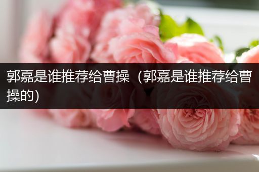 郭嘉是谁推荐给曹操（郭嘉是谁推荐给曹操的）
