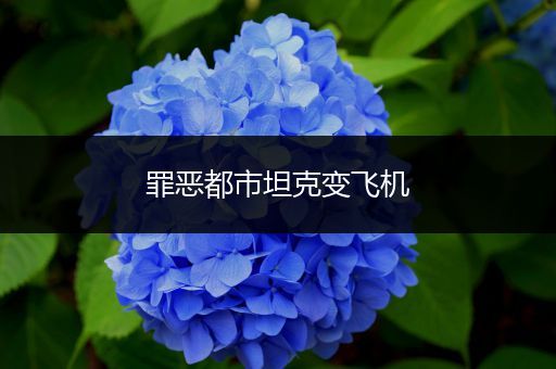罪恶都市坦克变飞机