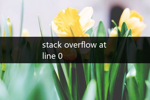 stack overflow at line 0