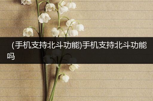 （手机支持北斗功能)手机支持北斗功能吗