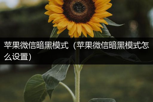 苹果微信暗黑模式（苹果微信暗黑模式怎么设置）