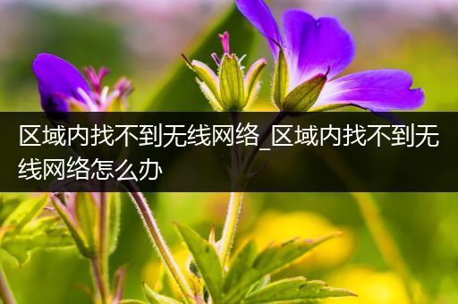 区域内找不到无线网络_区域内找不到无线网络怎么办