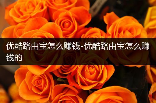 优酷路由宝怎么赚钱-优酷路由宝怎么赚钱的
