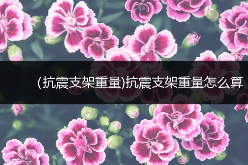 （抗震支架重量)抗震支架重量怎么算