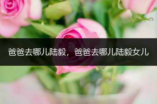 爸爸去哪儿陆毅，爸爸去哪儿陆毅女儿