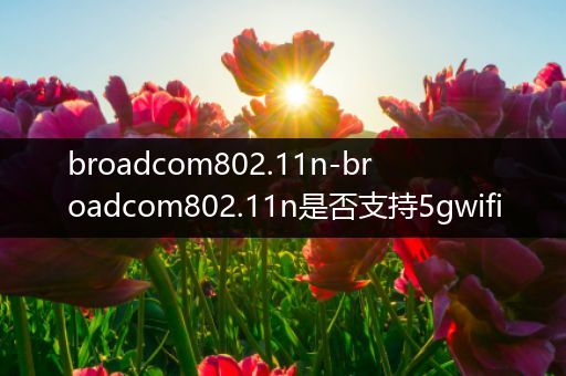 broadcom802.11n-broadcom802.11n是否支持5gwifi