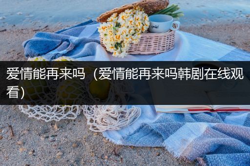 爱情能再来吗（爱情能再来吗韩剧在线观看）