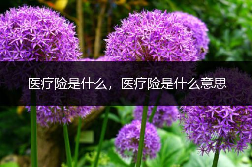 医疗险是什么，医疗险是什么意思