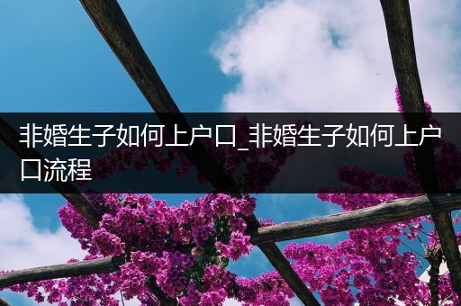 非婚生子如何上户口_非婚生子如何上户口流程