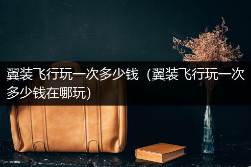 翼装飞行玩一次多少钱（翼装飞行玩一次多少钱在哪玩）