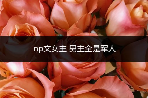 np文女主 男主全是军人