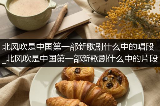 北风吹是中国第一部新歌剧什么中的唱段_北风吹是中国第一部新歌剧什么中的片段