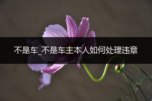 不是车_不是车主本人如何处理违章