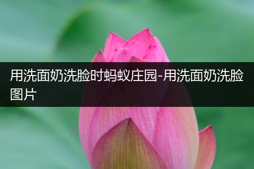 用洗面奶洗脸时蚂蚁庄园-用洗面奶洗脸图片