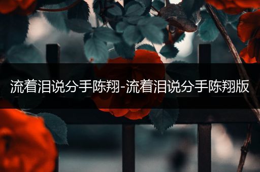 流着泪说分手陈翔-流着泪说分手陈翔版