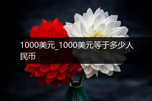 1000美元_1000美元等于多少人民币