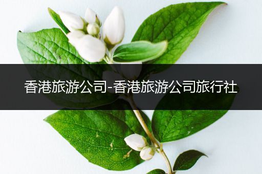 香港旅游公司-香港旅游公司旅行社