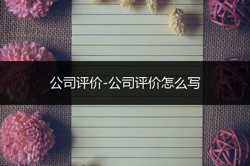 公司评价-公司评价怎么写