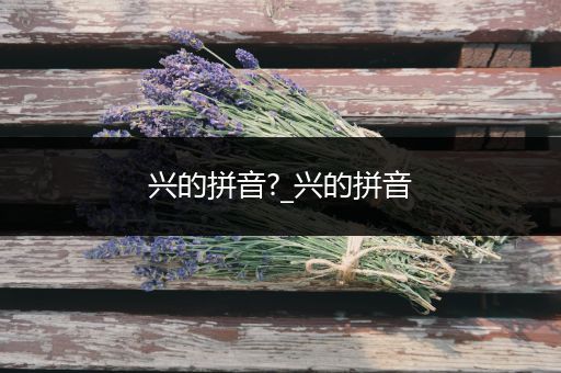 兴的拼音?_兴的拼音