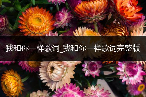 我和你一样歌词_我和你一样歌词完整版