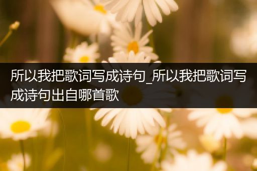 所以我把歌词写成诗句_所以我把歌词写成诗句出自哪首歌