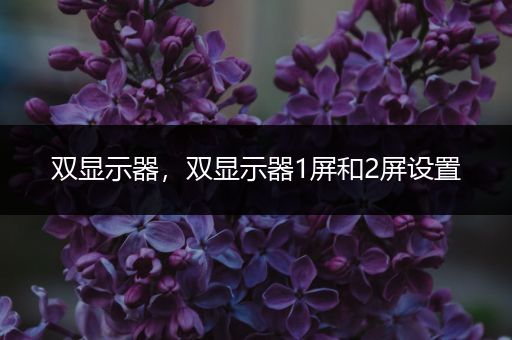 双显示器，双显示器1屏和2屏设置