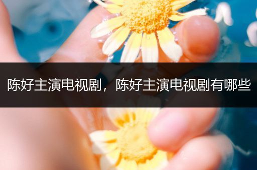陈好主演电视剧，陈好主演电视剧有哪些