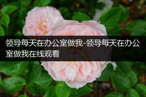 领导每天在办公室做我-领导每天在办公室做我在线观看